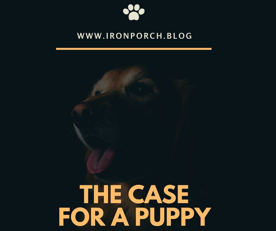 The case for a puppy